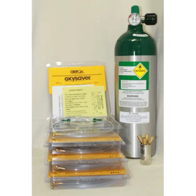 Aerox 400-4D Oxygen System Standard