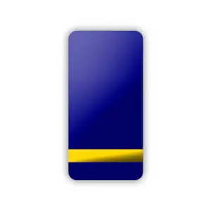 Epaulettes 1 Bar Soft Gold & Navy