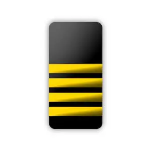 Epaulettes 4 Bar Soft Gold & Black