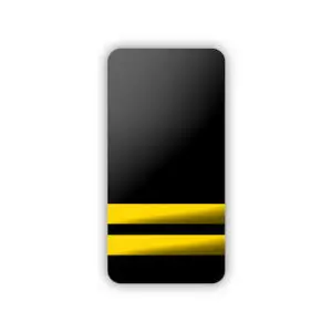 Epaulettes 2 Bar Hard Black and Gold
