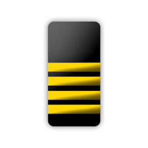 Epaulettes 4 Bar Hard Black & Gold