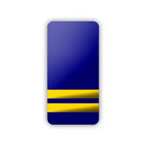 Epaulettes 2 Bar Hard Blue & Gold