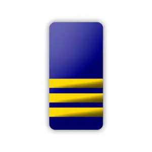 Epaulettes 3 Bar Hard Blue & Gold