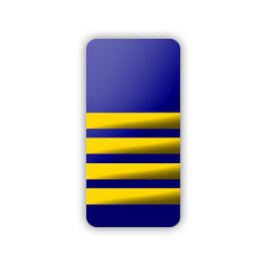 Epaulettes 4 Bar Hard Blue & Gold
